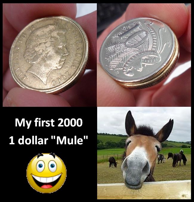 2000-$1/10c-Mor-Mule---How-To-Tell-If-You-Really-Have-One.